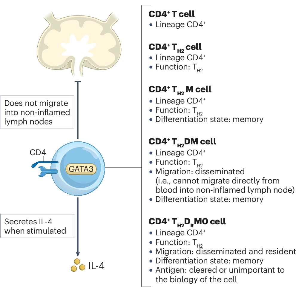 Fig 3, Masopust et al., 2025