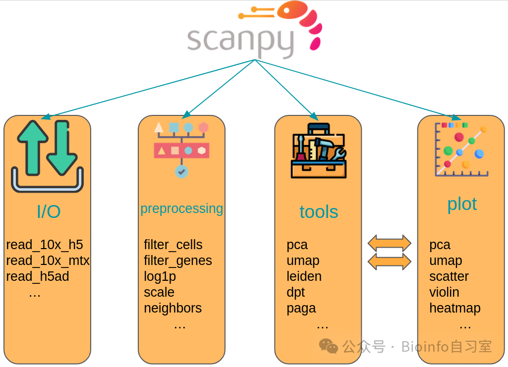 scanpy API overview