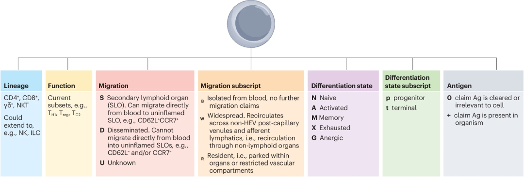Fig 1，Masopust et al., 2025