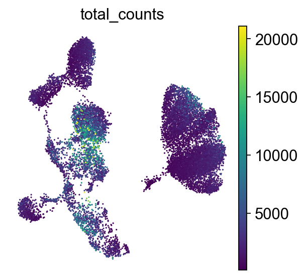 对比t-SNE，UMAP群和群之间的距离更远，群显得更紧密