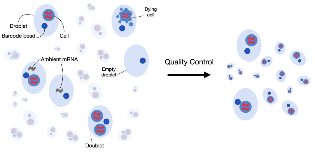 Sources of noise in single-cell data, Source: scbp