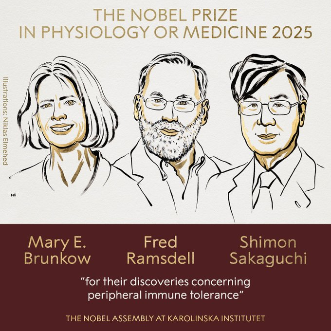 Ill. Niklas Elmehed © Nobel Prize Outreach