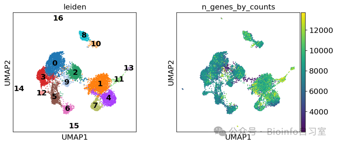 UMAP
