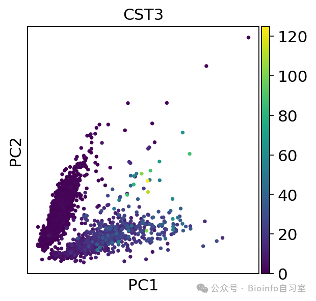 PCA visualization