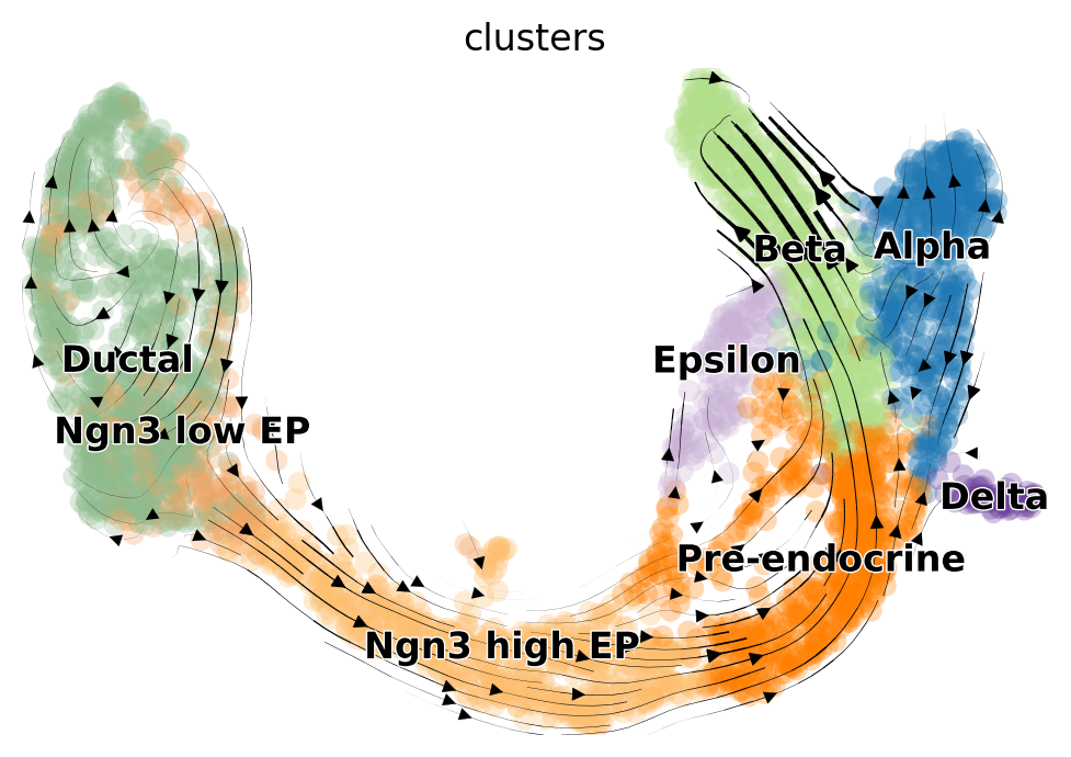 Steady-state velocity stream