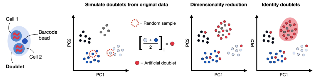 How scDblFinder works, Source: scbp