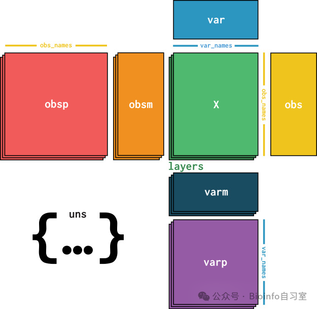 AnnData data structure diagram