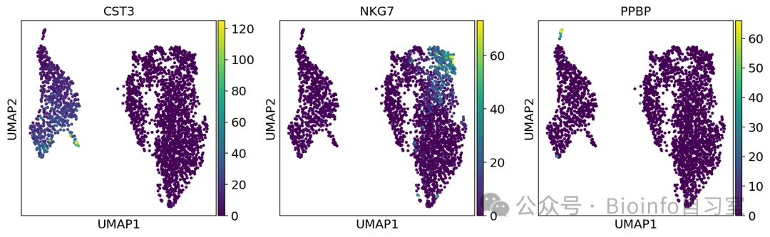 UMAP visualization