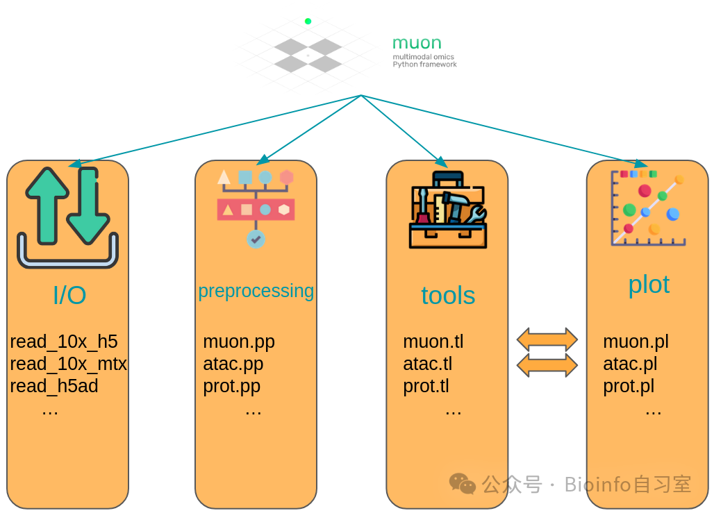muon API overview