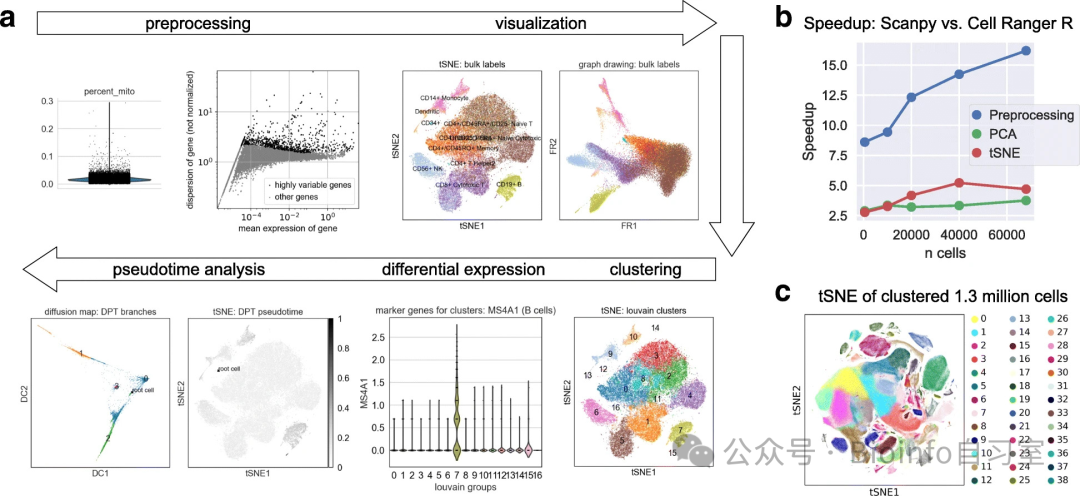 scanpy overview (Source: Wolf et al., 2018)