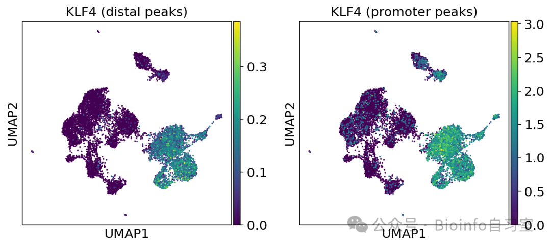 KLF4 peaks