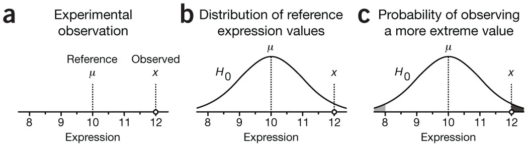 Figure 1 | The basic logic of hypothesis testing. (a) Our observed value is x = 12, and the known reference value is μ = 10. (b) We assume a null distribution — one that represents all possible measurement outcomes when the protein's true expression is 10, centered at μ. (c) The p-value is calculated as the total area under this null distribution that is more extreme than our observed value (i.e., farther from the center).
